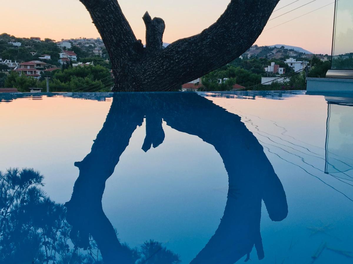 Villa Tranquility Lagonisi Dış mekan fotoğraf