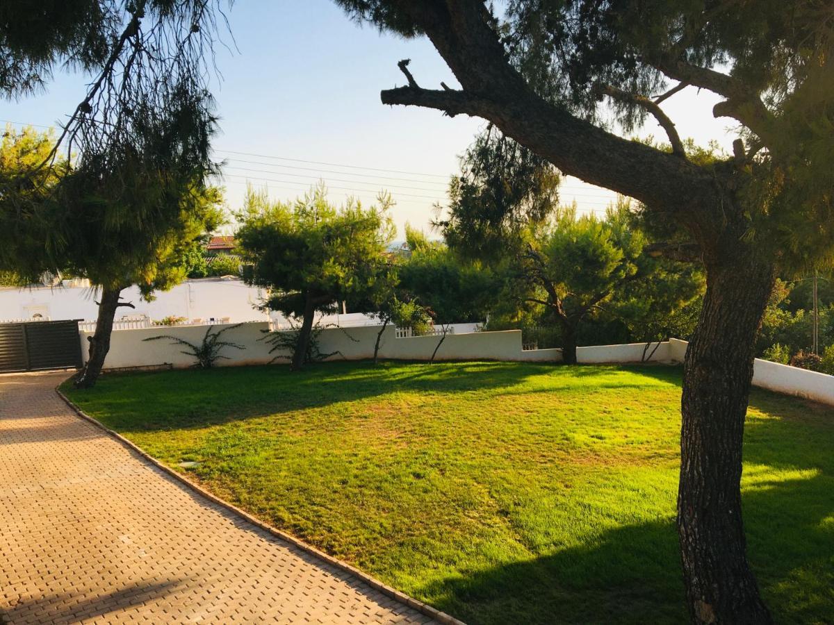 Villa Tranquility Lagonisi Dış mekan fotoğraf