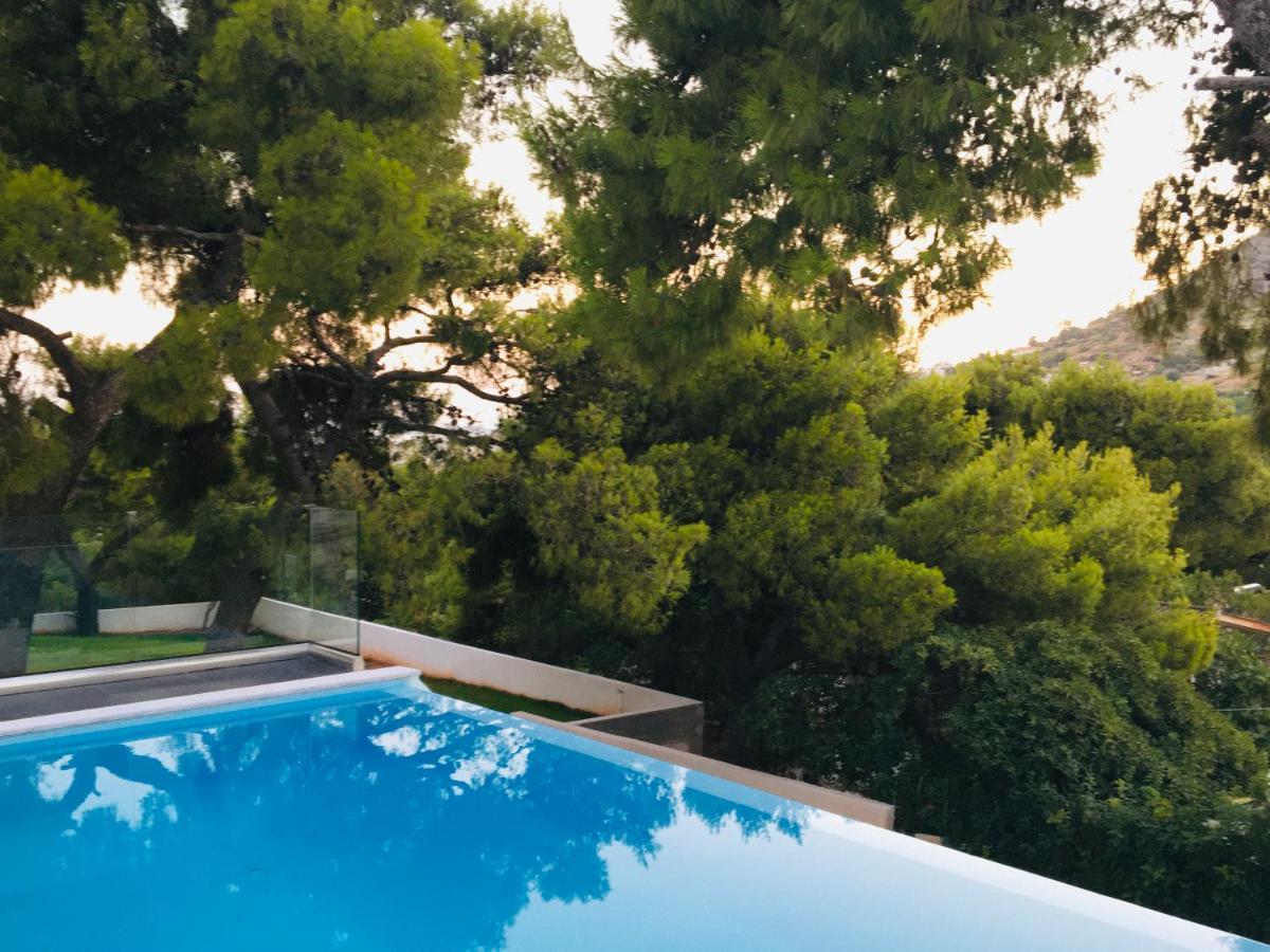 Villa Tranquility Lagonisi Dış mekan fotoğraf