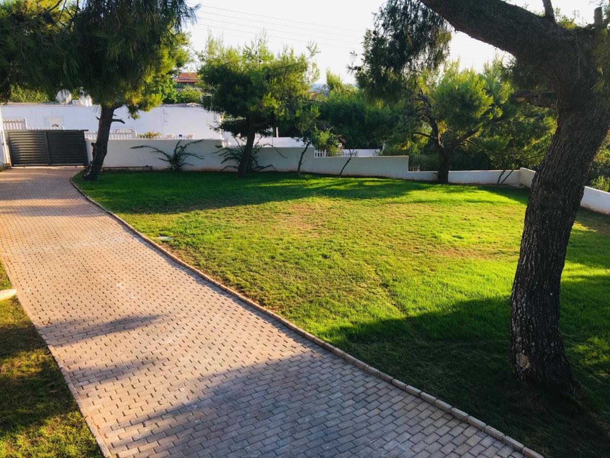 Villa Tranquility Lagonisi Dış mekan fotoğraf