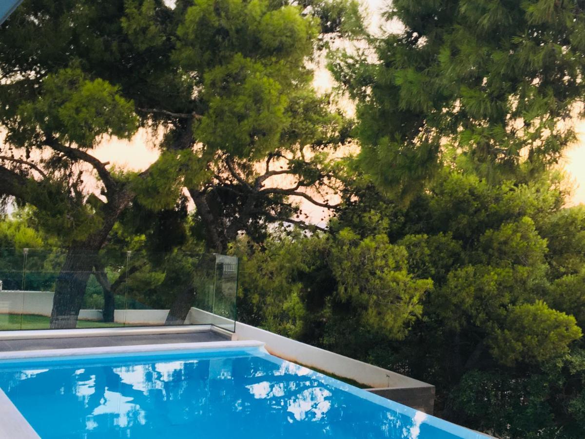 Villa Tranquility Lagonisi Dış mekan fotoğraf
