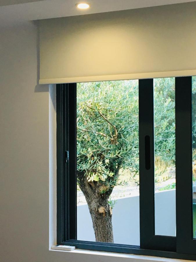 Villa Tranquility Lagonisi Dış mekan fotoğraf